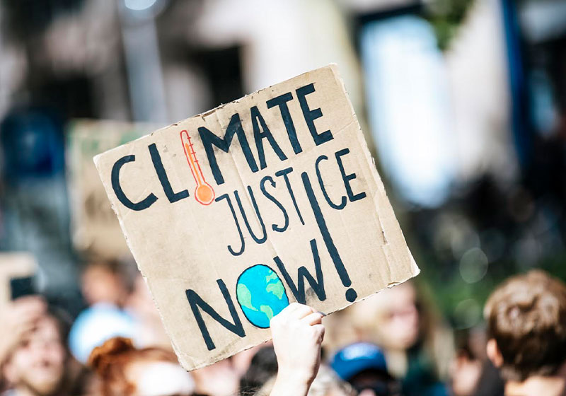 A glimpse of what to expect: